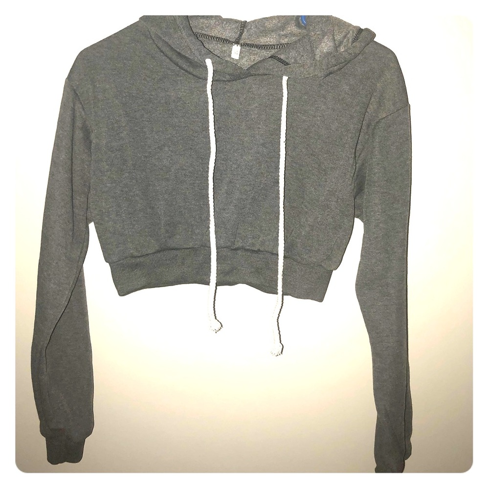 NWOT Charcoal Cropped Hoodie